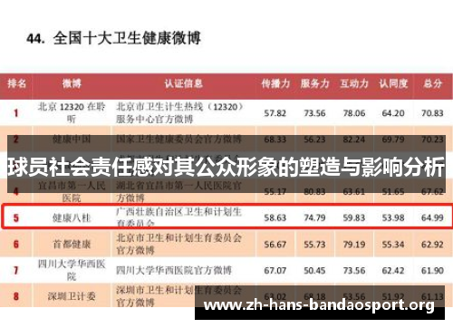 球员社会责任感对其公众形象的塑造与影响分析