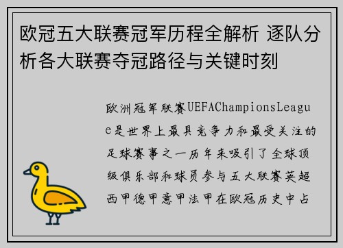 欧冠五大联赛冠军历程全解析 逐队分析各大联赛夺冠路径与关键时刻