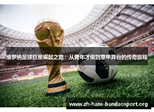 维罗纳足球巨星崛起之路:从青年才俊到意甲舞台的传奇旅程