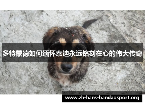 多特蒙德如何缅怀泰迪永远铭刻在心的伟大传奇