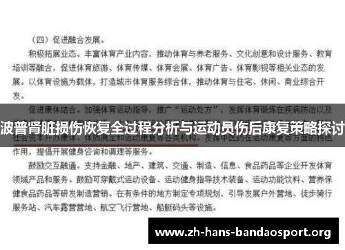 波普肾脏损伤恢复全过程分析与运动员伤后康复策略探讨