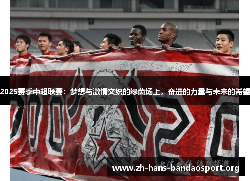 2025赛季中超联赛:梦想与激情交织的绿茵场上,奋进的力量与未来的希望