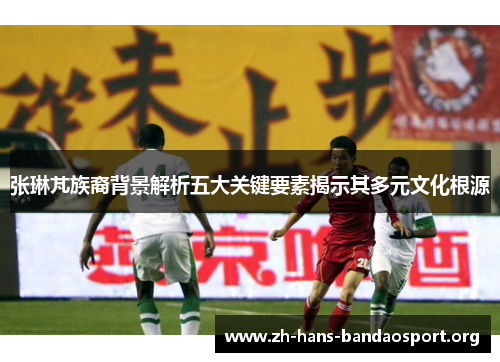 张琳芃族裔背景解析五大关键要素揭示其多元文化根源