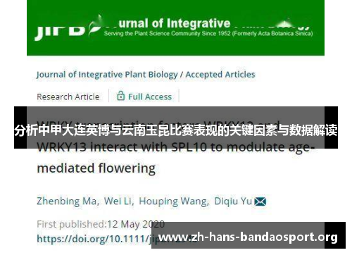 分析中甲大连英博与云南玉昆比赛表现的关键因素与数据解读