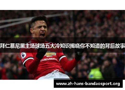 拜仁慕尼黑主场球场五大冷知识揭晓你不知道的背后故事 拜仁慕尼黑主场球场五大冷知识揭晓你不知道的背后故事