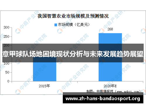 意甲球队场地困境现状分析与未来发展趋势展望 意甲球队场地困境现状分析与未来发展趋势展望