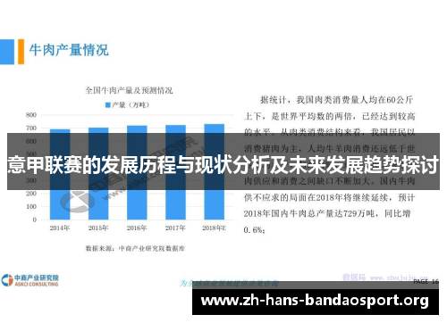 意甲联赛的发展历程与现状分析及未来发展趋势探讨